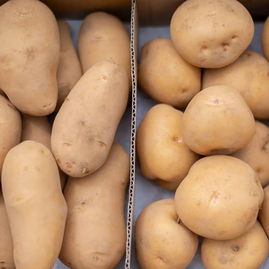 Amazon.co.jp: じゃがいも 食べ比べ メークイン きたあかり 秀品